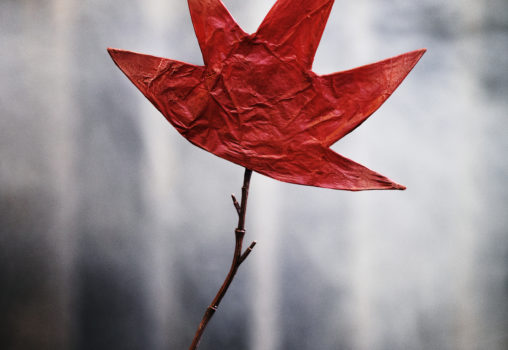 Porträtt på Det röda trädet - Affischbild, foto Per Eriksson